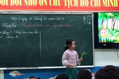 Tiết học môn Khoa học: học sinh đang trình bày cây nảy mầm từ củ, thân, lá