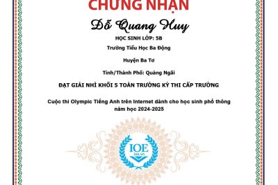 Kết quả thi IOE cấp trường năm học 2024-2025